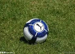 国米球星大,腿肌腱受损,预计战四场,九游娱乐平台,九游娱乐官方网站,九游娱乐登录入口,九游娱乐app下载