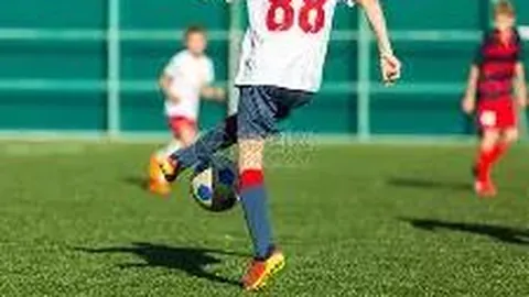 《中国篮球运动发展报告》揭示中国篮球人的真实画像