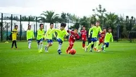 九游娱乐 资讯 132958 69b