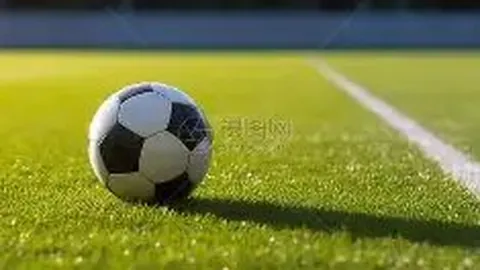 孙颖莎生日应援引热议，遭网友批评，央视力挺引发关注