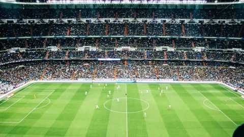 九游娱乐 资讯 104456 9fr