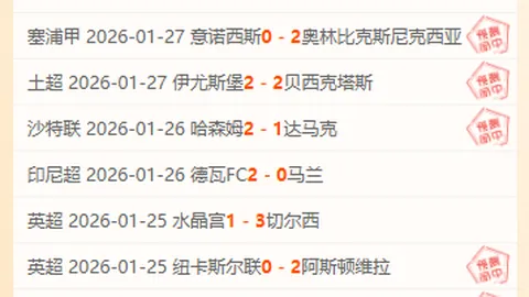 亚残运赛艇：勇往直前，团结拼搏共赴终点——央视体育报道